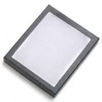 Picture of Riker Case With 2 Clips 5 x 6 Inch