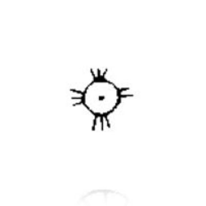 Picture of Steel Stamp, #11 Zia, 1/4"