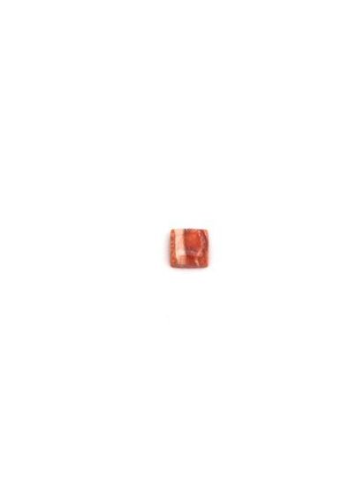 Picture of Orange Stabilized Compressed Spiny Oyster Cabachon 8mm Square, No Back