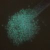 Picture of Size 8 Japanese Seed Beads, Dark Pink/Green Pink Glow in the Dark (#2724), Approximately 25 Grams