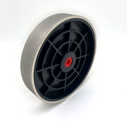 Picture of Nickel Plated Diamond 8" Wheel, 180 grit 