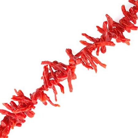 Picture for category Coral Natural Shape Beads
