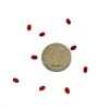 Picture of Coral Oval Cabochon, 3x5mm