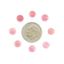 Picture of Round Conch Shell Cabochon 6mm