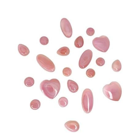 Picture for category Pink Conch