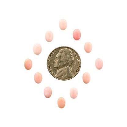 Picture of Pink Conch Shell Cabochon, 5x7mm Oval