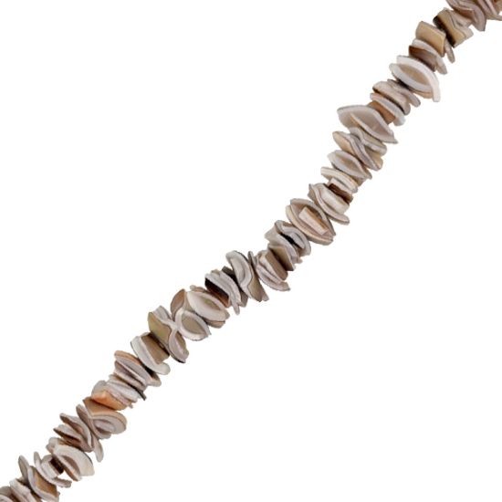 Picture of Tiger Cowrie Heishi Small Chip Beads, 4-8mm.